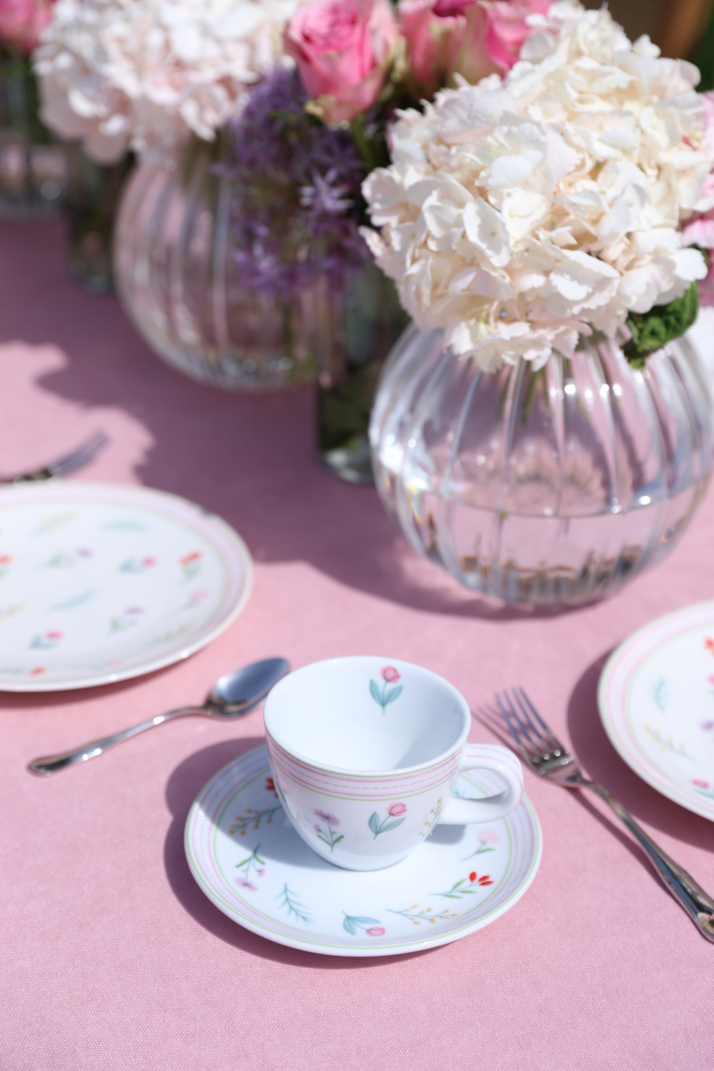 Meva Collection Çay Fincanı